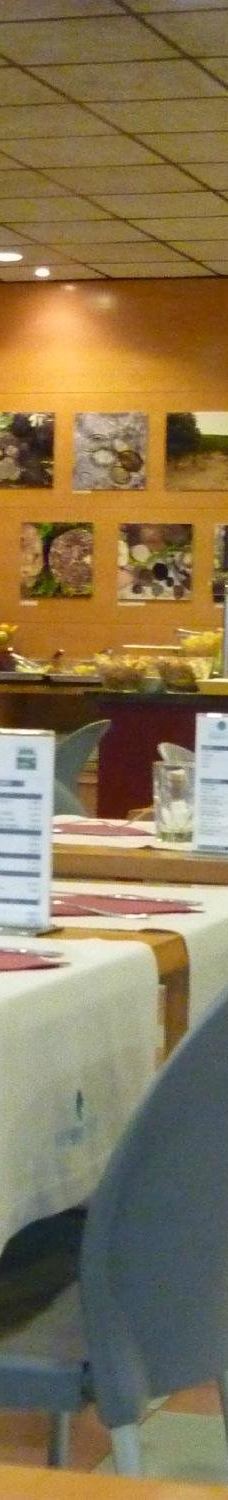 Magma - Centro Termal-圣科洛马·德法尔