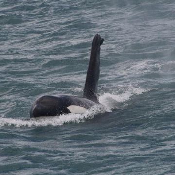 新西兰+奥克兰4日2晚私家团