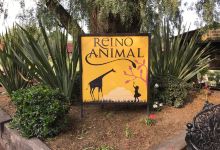 Reino Animal景点图片