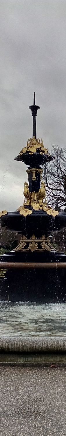 Albert Park-米德尔斯堡