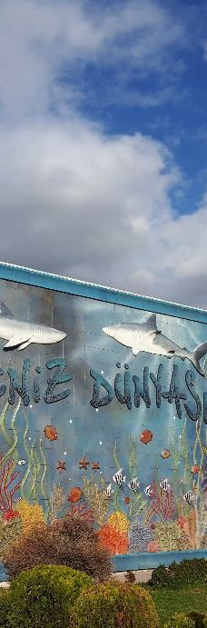 Deniz Dunyasi-安卡拉