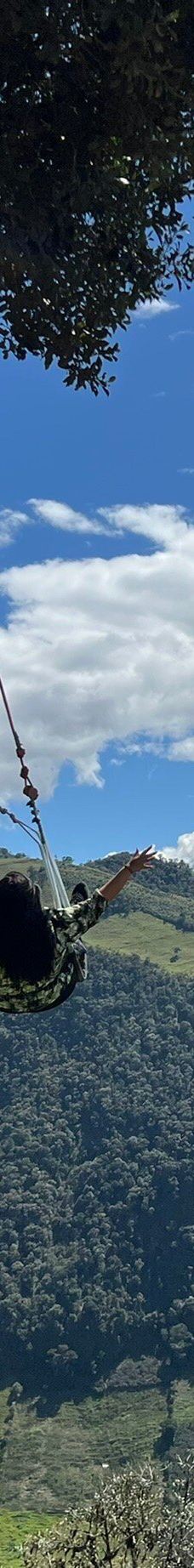 La Casa del Arbol-巴尼奥斯县