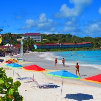 维尔里其斯图片