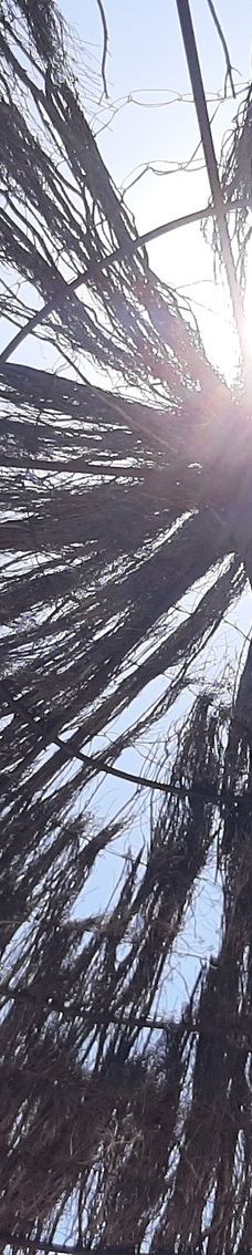 Aqualand Fréjus-弗雷瑞斯