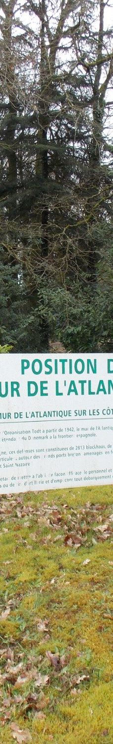 Museum of the Resistance-莫尔比昂