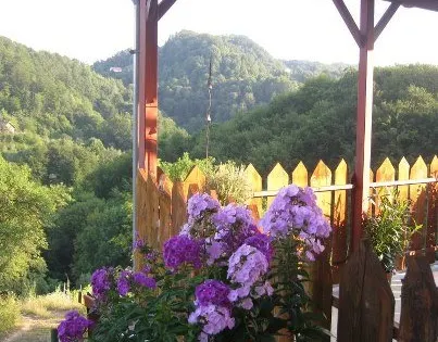 Lavender Farm Haloze
