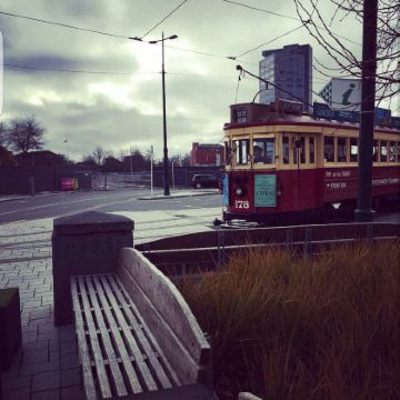 新西兰基督城11日9晚拼小团