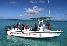 Seahorse Divers Barbados购物图片