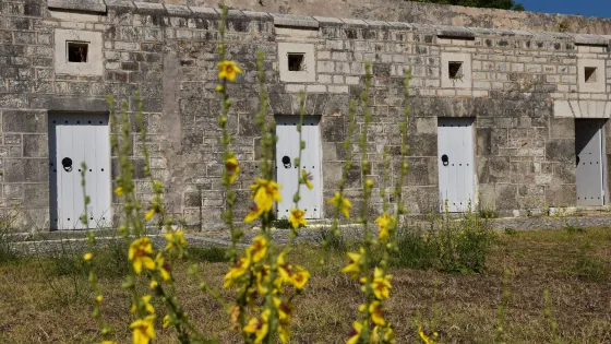 Castle of Agia Maura