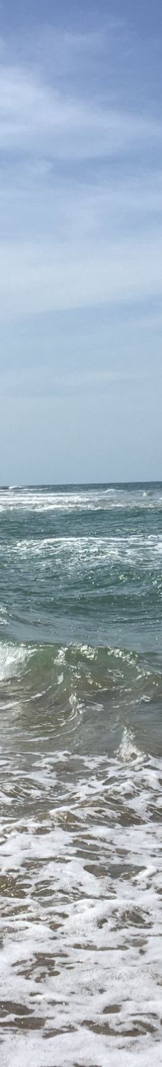 Playa Cocles-Talamanca