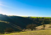 The Barton Hills National Nature Reserve景点图片