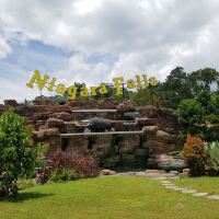 苏加武眉市图片