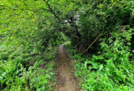 Greystones Farm Nature Reserve景点图片