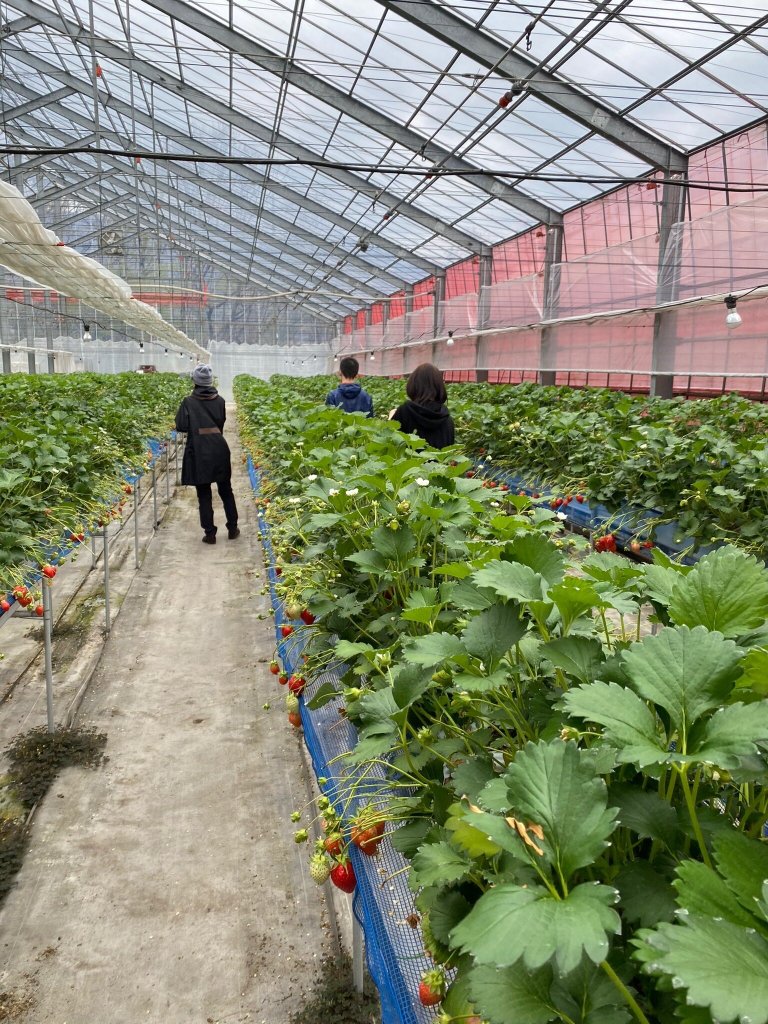 Minakami Fruit Land Mogitore餐厅图片