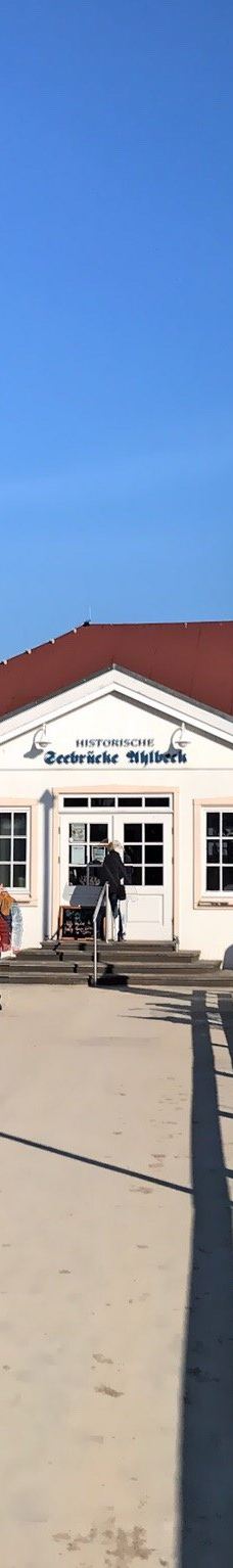 Seebrücke-黑灵斯多夫