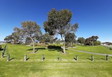 Synx Park景点图片