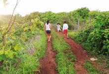 Pura Jungla Nature Reserve and Sustainable Community景点图片