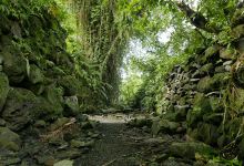 Lelu Ruins Historic Park景点图片
