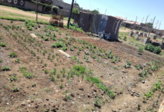 Architectural craft And Touch Science景点图片