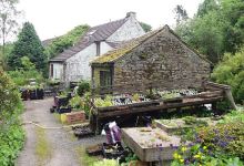 Hartside Nursery购物图片