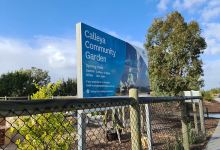 Calleya Community Garden景点图片