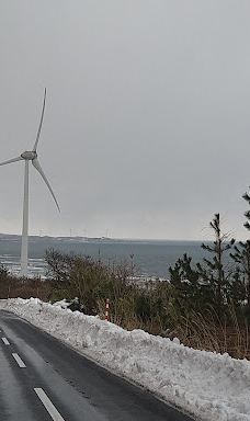 Hamadate Park-由利本庄市