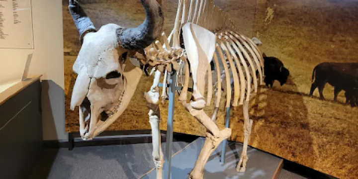 Mitchell Prehistoric Indian Village