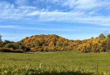 Donnelly's Hollow景点图片