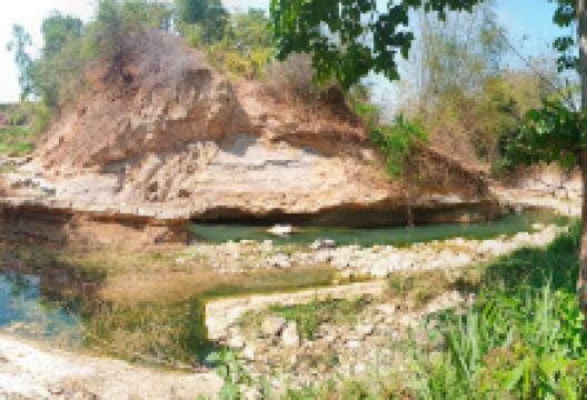 Masjid Miftahul Jannah景点图片
