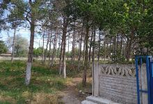 Ahmet Kovancı Parkı景点图片