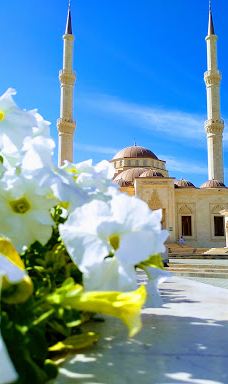Said Bin Taimur Mosque-马斯喀特