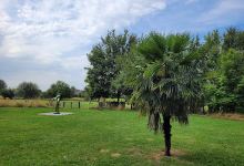 Parc du bois Leurent景点图片