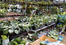 Jios landscaping and trading景点图片