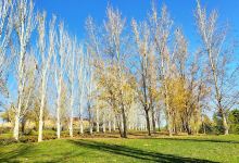 Parque Bellavista景点图片