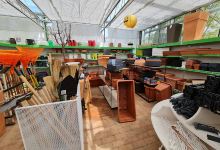 Garden Center, Upper Zamárdi购物图片
