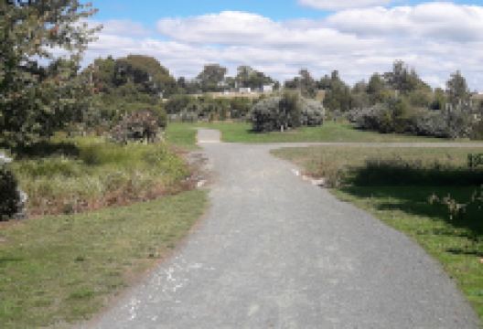 Aranui Park景点图片