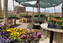 Santa Ana Garden Center购物图片