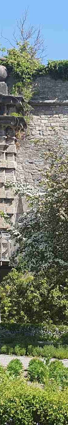 玛利亚堡-维尔茨堡-飞来飞去的人啊哈哈