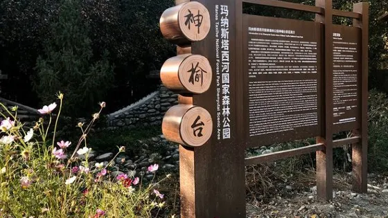 瑪納斯國家森林公園神榆台景區