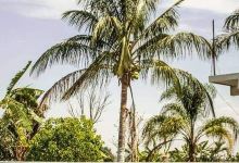 Spa The Plot景点图片