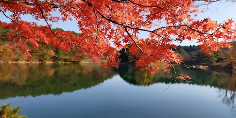 半田山自然公園