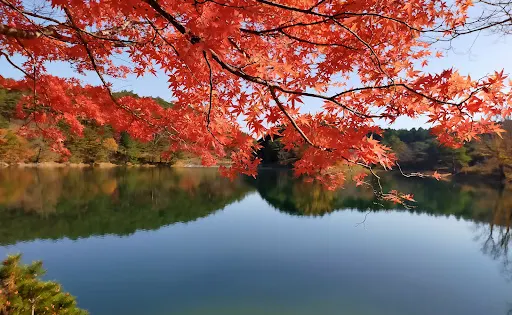半田山自然公園
