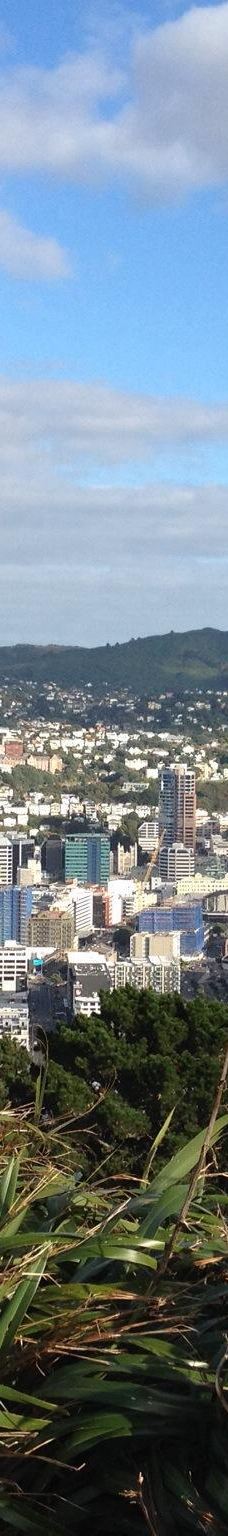 维多利亚山-惠灵顿