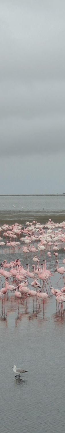 长滩休闲公园-Langstrand