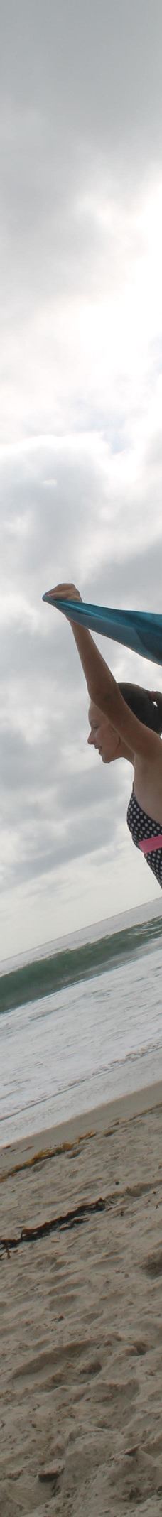 Salt Creek Beach-达纳点