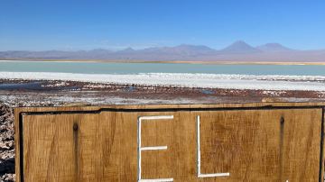 Laguna Cejar