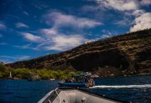 Dolphin Discoveries- Snorkel Tour Check-in and Boutique景点图片