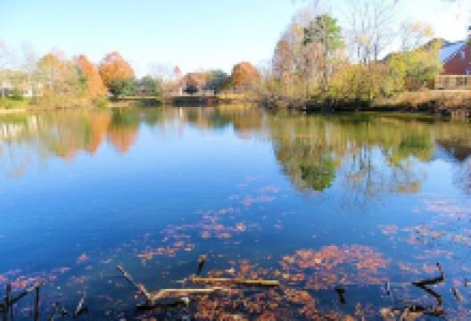 Chesapeake Arboretum景点图片