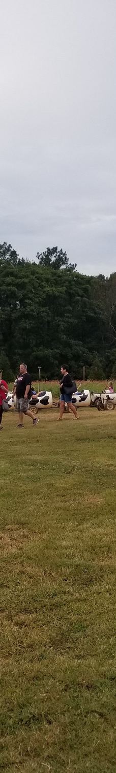 Southern Belle Farm-麦克多诺