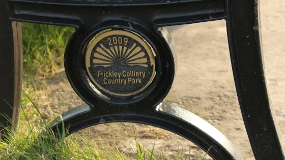 Frickley Park